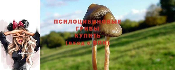 мяу мяу мука Краснослободск