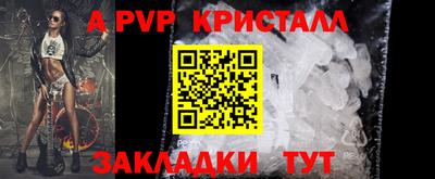 амф Донской