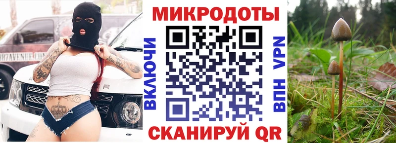 Галлюциногенные грибы Psilocybe  закладки  Луховицы 