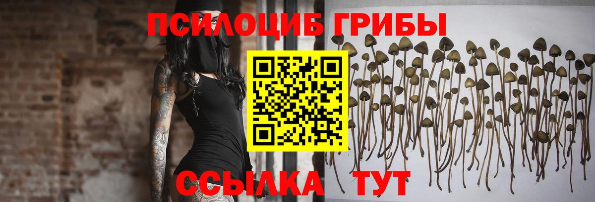 Галлюциногенные грибы мухоморы  Вход с VPN  Псилоцибиновые грибы мицелий  Луховицы 
